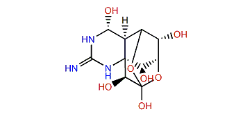 11-Nortetrodotoxin-6(S)-ol