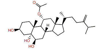 11a-Acetoxy-24-methylenecholestane-3b,5a,6b-triol