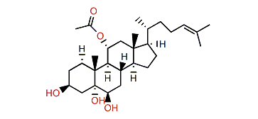 11a-Acetoxy-cholest-24-en-3b,5a,6b-triol