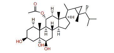 11a-Acetoxy-gorgostane-3b,5a,6b-triol