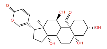 11alpha-Hydroxyhellebrigenin