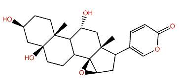 11a-Hydroxymarinobufagin