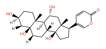 11a-Hydroxytelocinobufagin