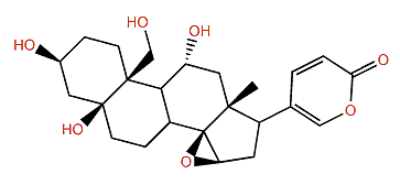 11a,19-Dihydroxymarinobufagin