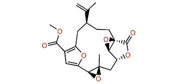 11b,12b-Epoxypukalide