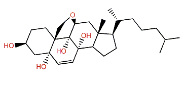 11b,19-Epoxycholest-6-en-3b,5a,8a,9a-tetrol