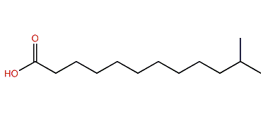 11-Methyldodecanoic acid