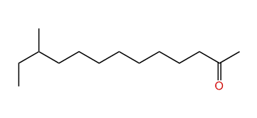 11-Methyltridecan-2-one