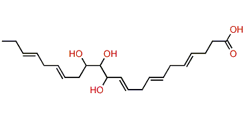 12,13,14-Trihydroxy-4,7,10,16,19-docosapentaenoic acid