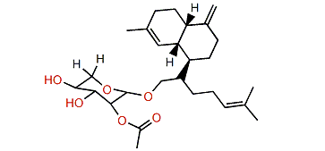 12-(2-O-Acetyl-b-D-xylopyranoside)