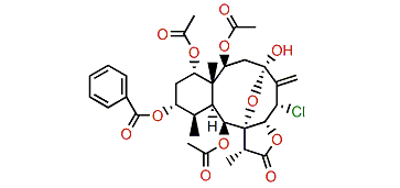 12-O-Desacetyl-12-O-benzoylpteroidine