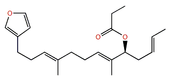 12-Acetoxyambliofuran