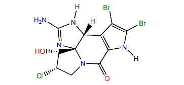 12-Chloro-11-hydroxydibromoisophakellin