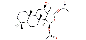 12-Deacetyl-12-epiaplysillin