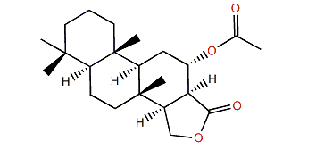 12a-Acetoxyspongian-16-one