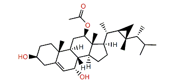 12b-Acetoxy-7a-hydroxygorgosterol