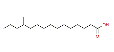 12-Methylpentadecanoic acid