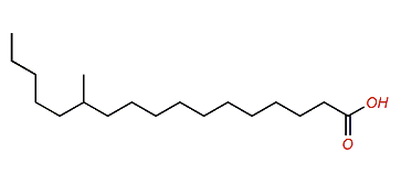 12-Methylheptadecanoic acid