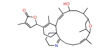12-Methylgymnodimine