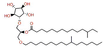 12-Methyltetradecanoylcrasseride