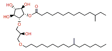 12-Methyltetradecanoylisocrasseride