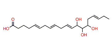 13,14,15-Trihydroxy-5,8,11,17-eicosatetraenoic acid
