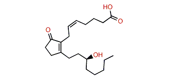 13,14-Dihydro-prostaglandin B2