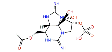 13-O-Acetyldecarbamoylsaxitoxin-11a-O-sulfate