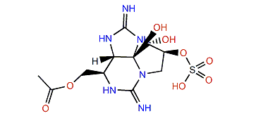 13-O-Acetyldecarbamoylsaxitoxin-11b-O-sulfate