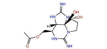 13-O-Acetyldecarbamoylsaxitoxin
