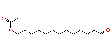13-Acetyloxytridecanal