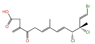 (6E,8E,10R,11R,12E)-13-Bromo-10,11-dichloro-7,11-dimethyl-3-methylene-4-oxo-6,8,12-tridecatrienoic acid