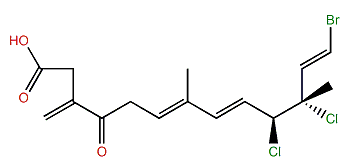(6E,8E,10S,11S,12E)-13-Bromo-10,11-dichloro-7,11-dimethyl-3-methylene-4-oxo-6,8,12-tridecatrienoic acid