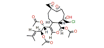 13-Deacetyl-11(9)-havannachlorohydrin