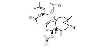 13-Epi-9-deacetoxyxenicin