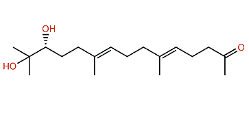 (5E,9E,13R)-13,14-Dihydroxy-6,10,14-trimethylpentadeca-5,9-dien-2-one