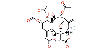 13a-Acetoxyl-2-deacetyljunceellin