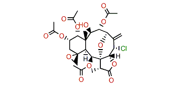 13a-Acetoxyl-2-deacetylpraelolide
