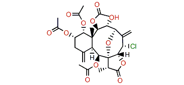 13a-Acetoxyl-3-deacetyljunceellin