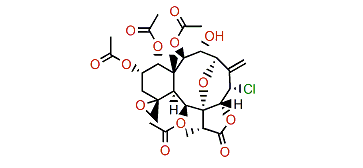 13a-Acetoxyl-3-deacetylpraelolide