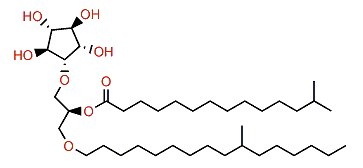 13-Methyltetradecanoylcrasseride