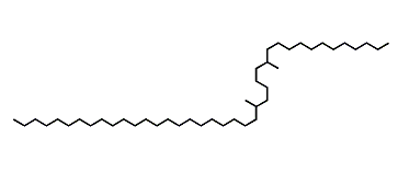 13,18-Dimethylhentetracontane