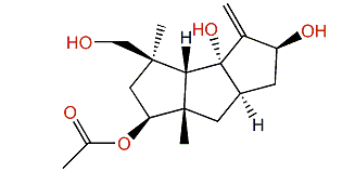 14-Acetoxy-9(12)-Capnellene-3b,8b,10a-triol