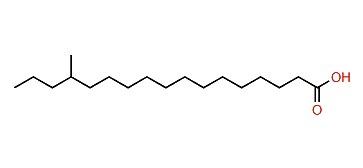 14-Methylheptadecanoic acid