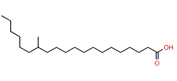 14-Methyleicosanoic acid