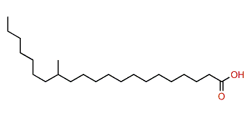 14-Methylheneicosanoic acid