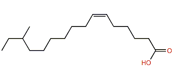 (Z)-14-Methyl-6-hexadecenoic acid