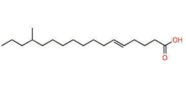 14-Methyl-5-heptadecenoic acid