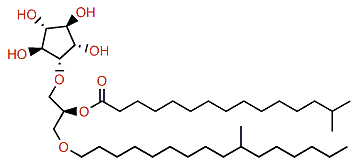 14-Methylpentadecanoylcrasseride