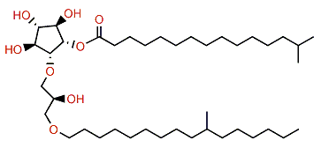 14-Methylpentadecanoylisocrasseride